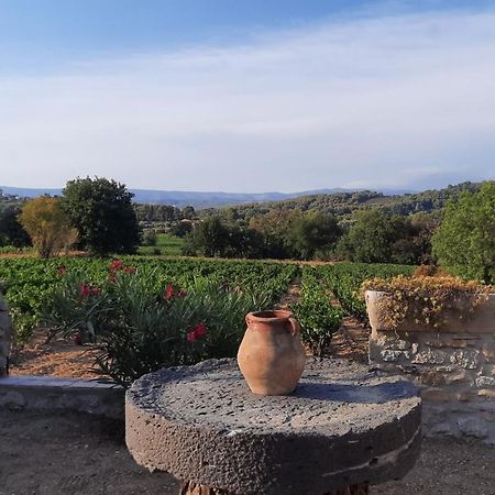 Apartmán La Tonnelle D'Olivier La Cadiere-d'Azur Exteriér fotografie